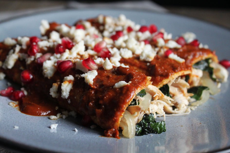 Left Over Thanksgiving Turkey Enchiladas with Pumpkin Mole SALSAOLOGY