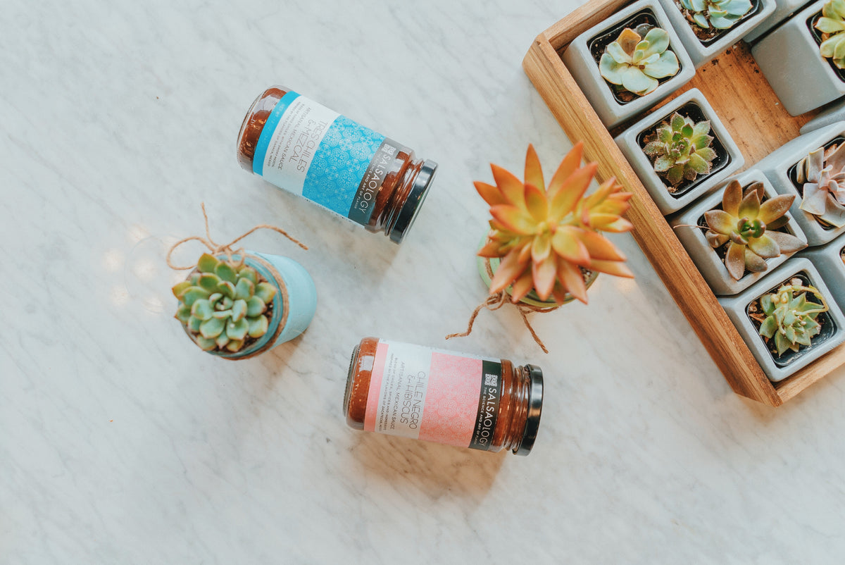 DIY Salsa Jar Succulent Planter