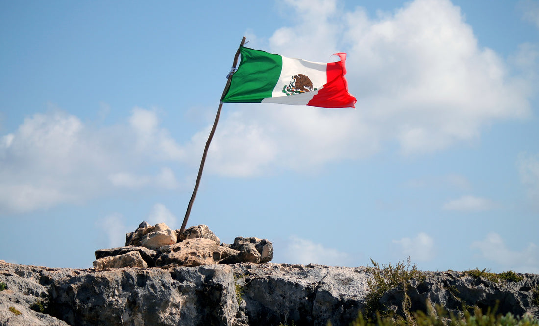 Mexican Independence Day: The Women Who Helped Win the War