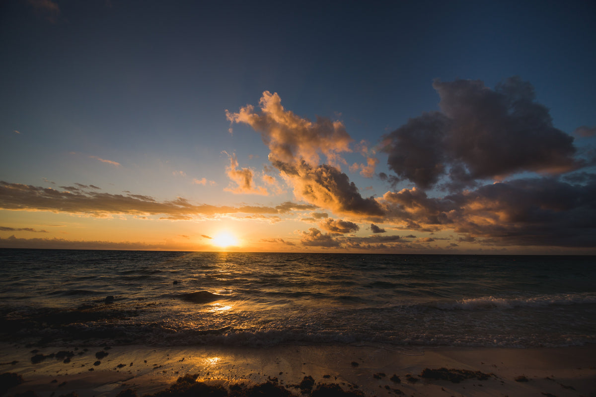 From the JEFA'S Desk - End of Summer